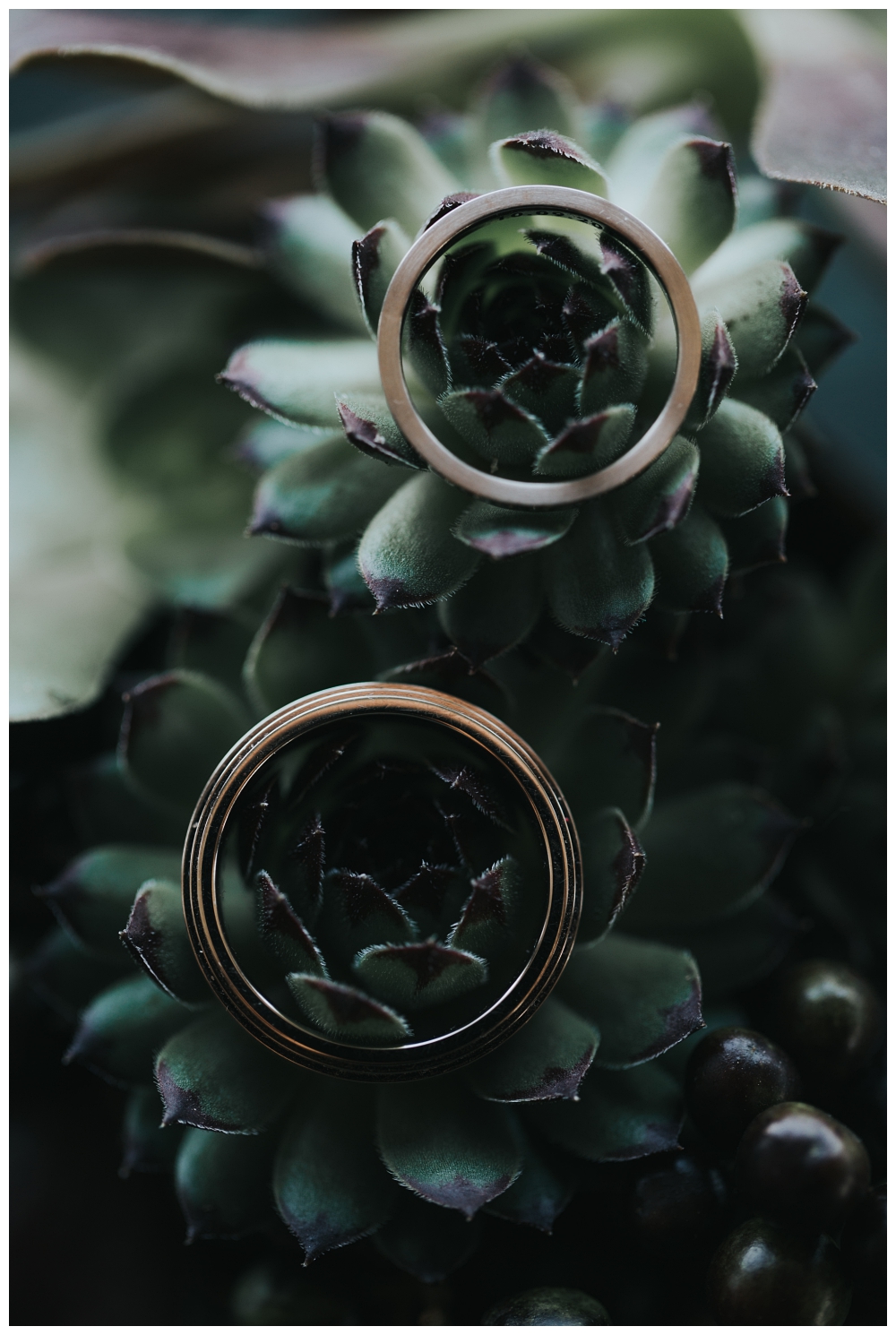 Honeymoon Pictures urbane Hochzeitsfotografie Hochzeit Berlin Soho House House of Weekend Hochzeitsfotos Hochzeitsreportage Hochzeitsbilder Fotodokumentation freie Trauung Industrial Freakin Fine Weddings Eheringe