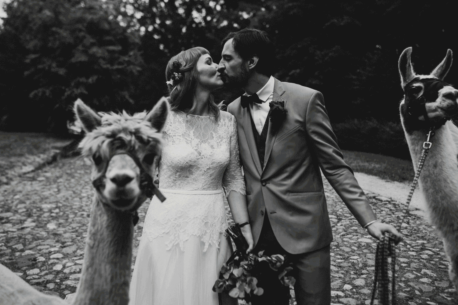 Hochzeitsfotograf Berlin Hochzeitsfotos Brandenburg Potsdam modern urban Berlinfotograf Hochzeit